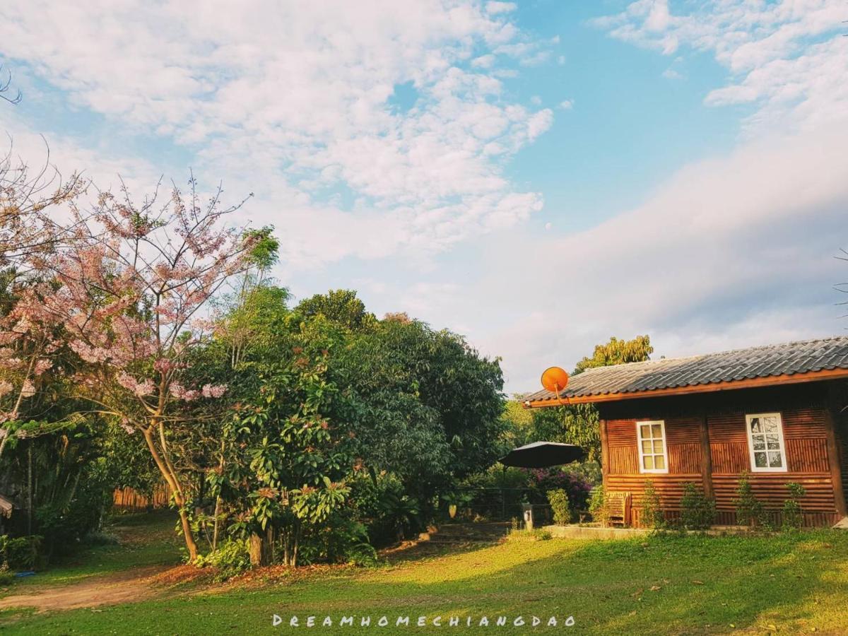 Dreamhome Chiangdao Chiang Dao Exterior foto